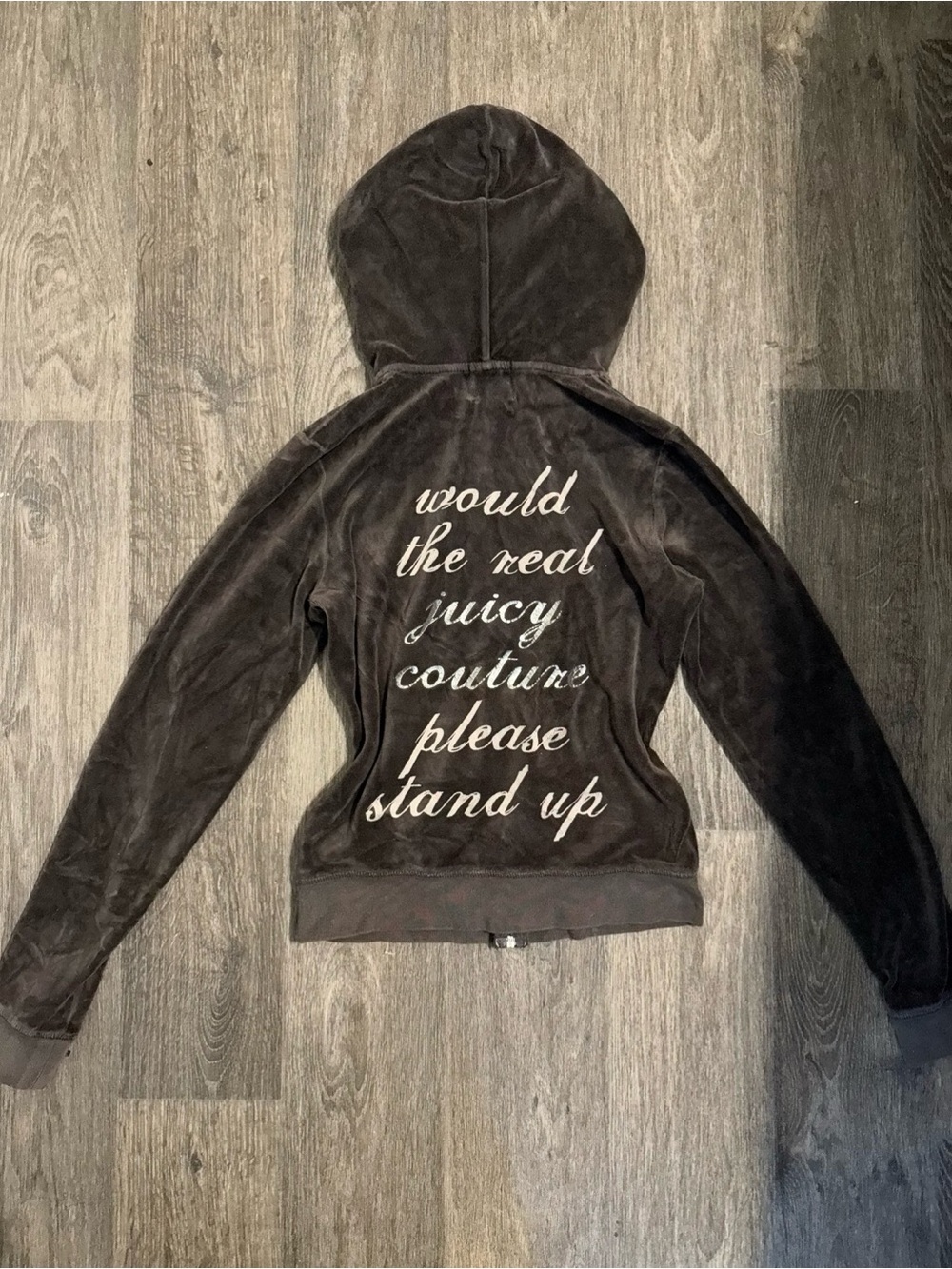 Rare Y2K Juicy Couture Velour Hoodie with Script Back